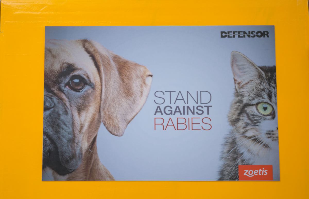 Mobivet Veterinary Clinic gallery photo